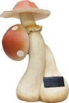 06164